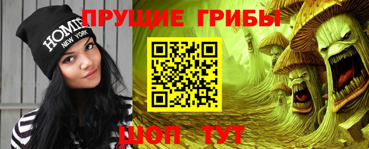 Галлюциногенные грибы мицелий Новозыбков