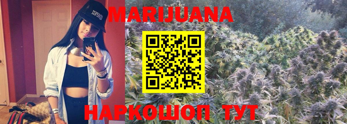 Конопля гибрид  Канабис Bruce Banner  Новозыбков  Марихуана сатива  Вход с VPN 